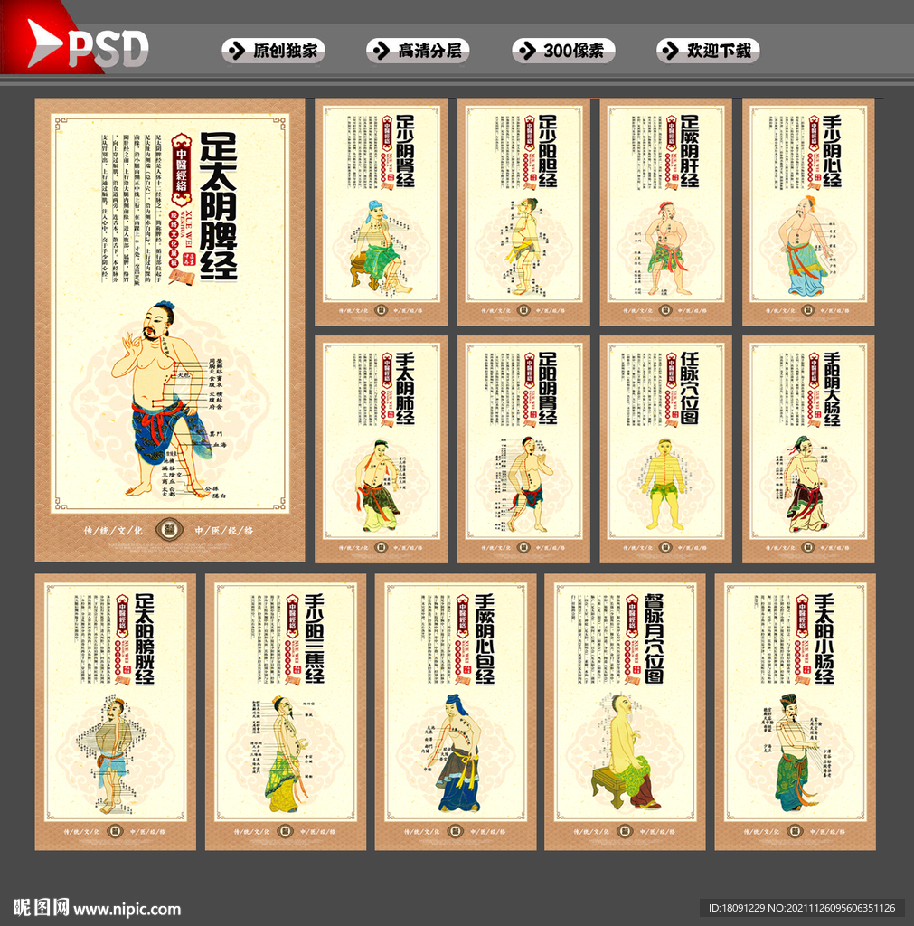 中医经络