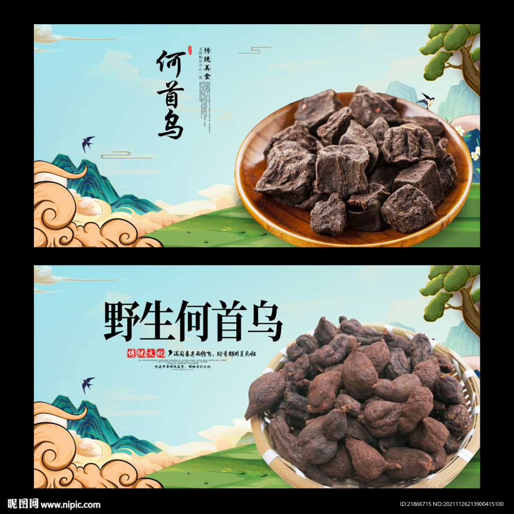 何首乌
