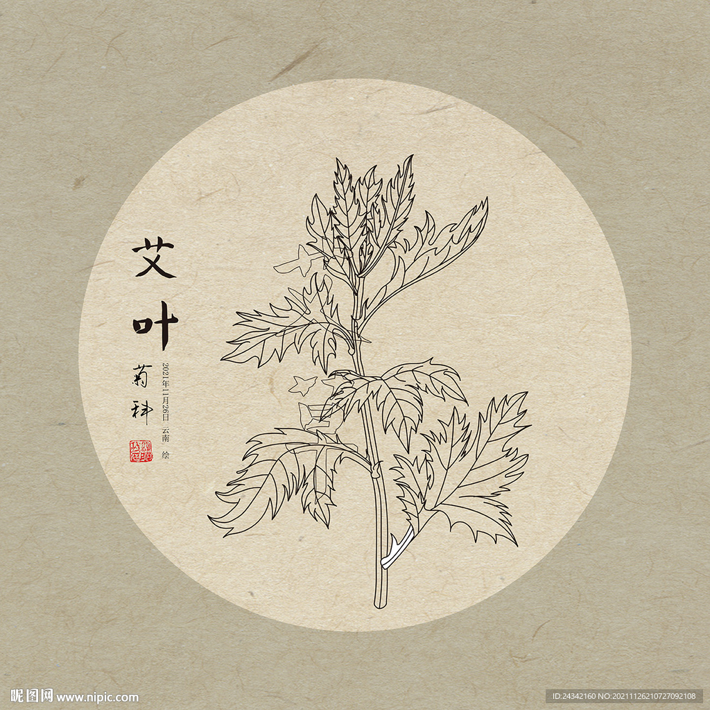 艾草