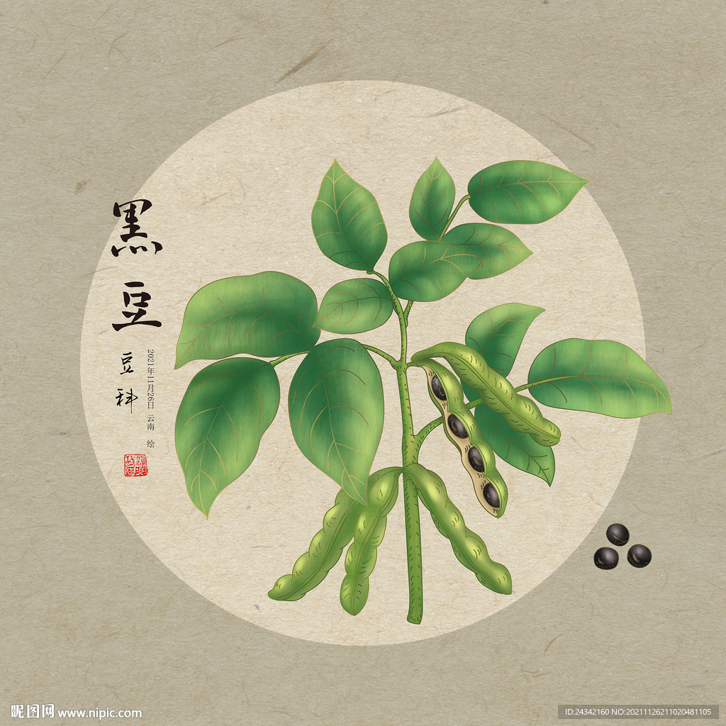 黑豆