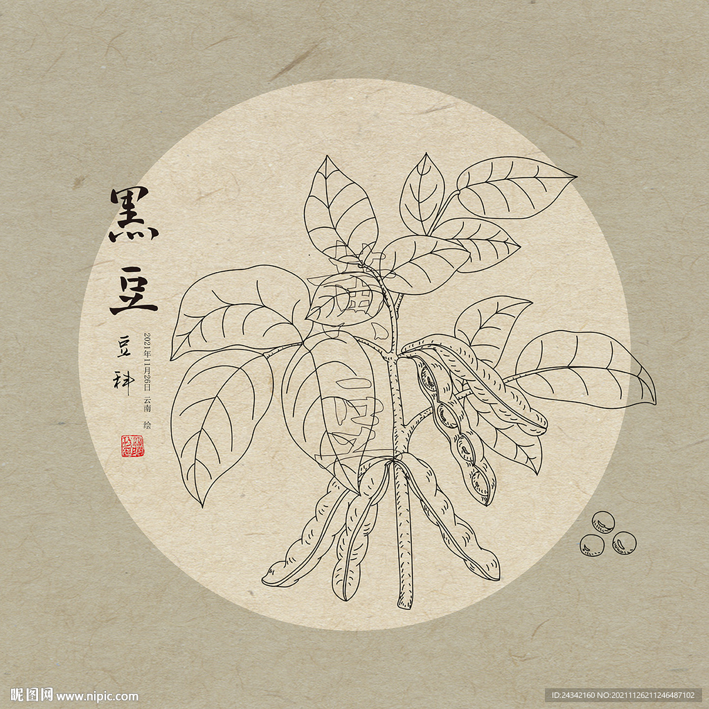 手绘黑豆
