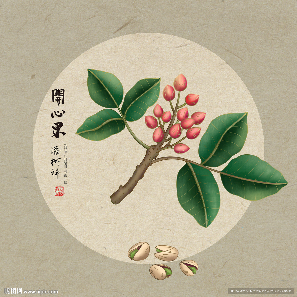 开心果
