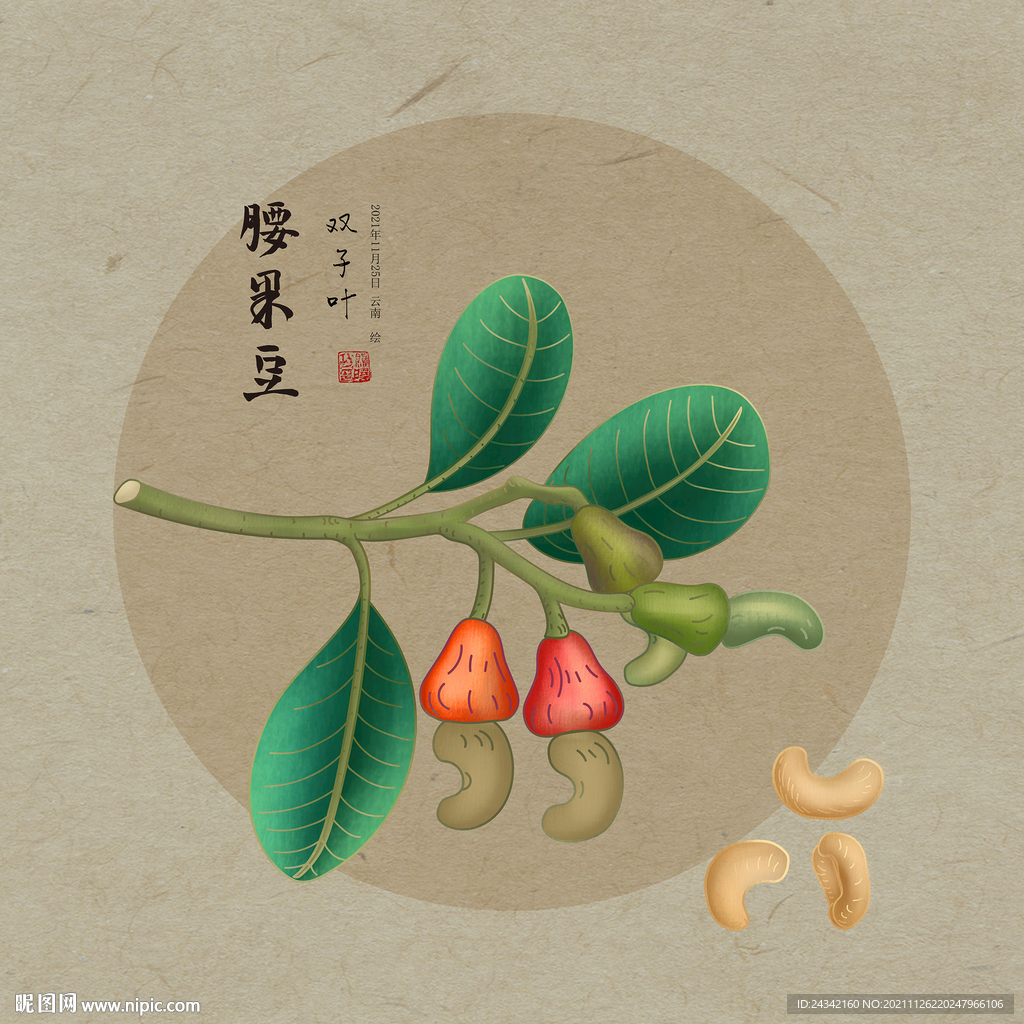 手绘腰果