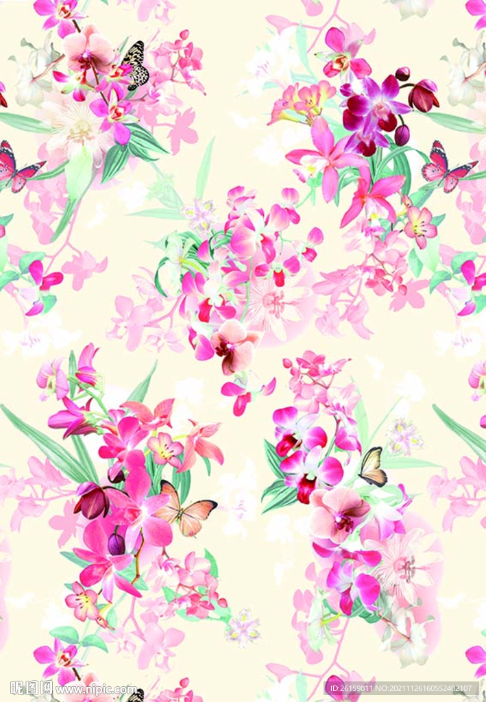 蝴蝶花
