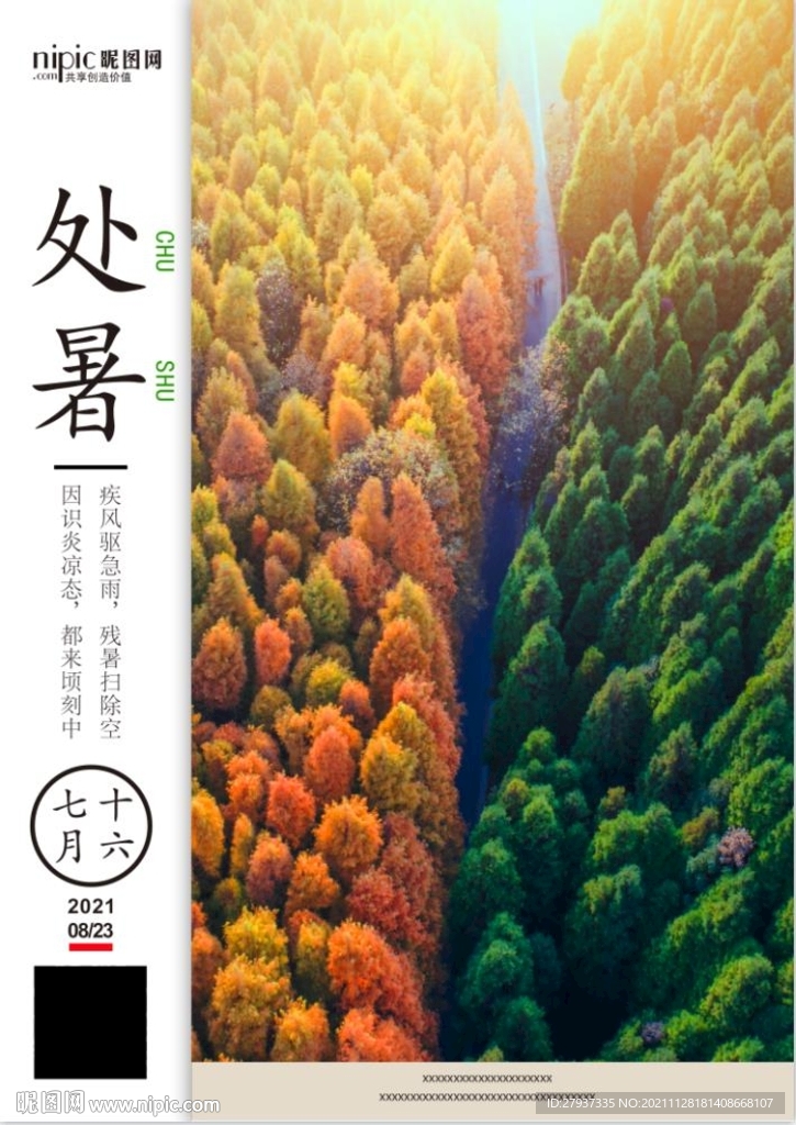 节气海报