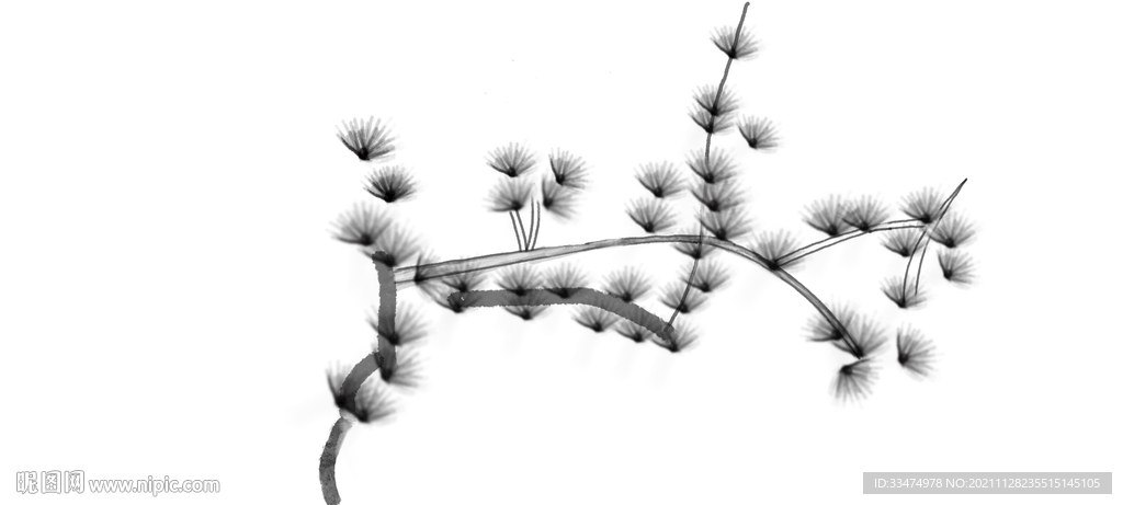 松树插画