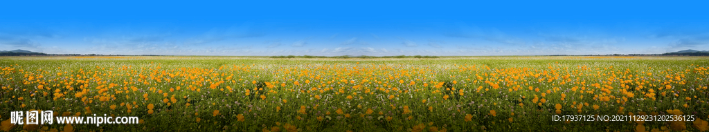  看楼通道 围挡 树林 花海 