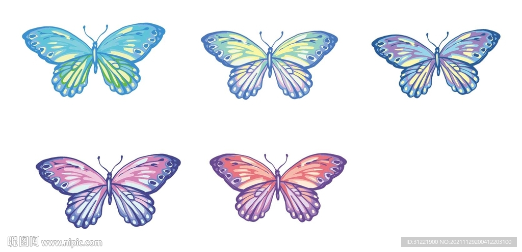 彩色矢量蝴蝶图案