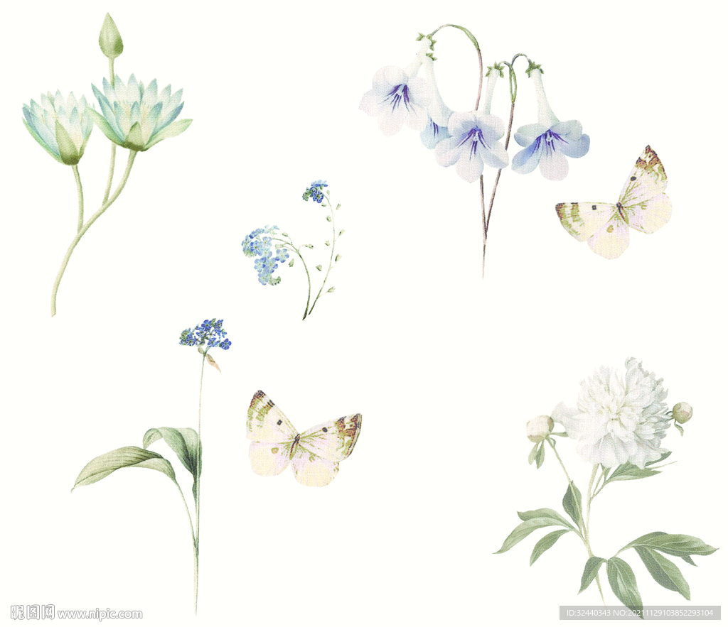 大牌  小碎花    数码印花