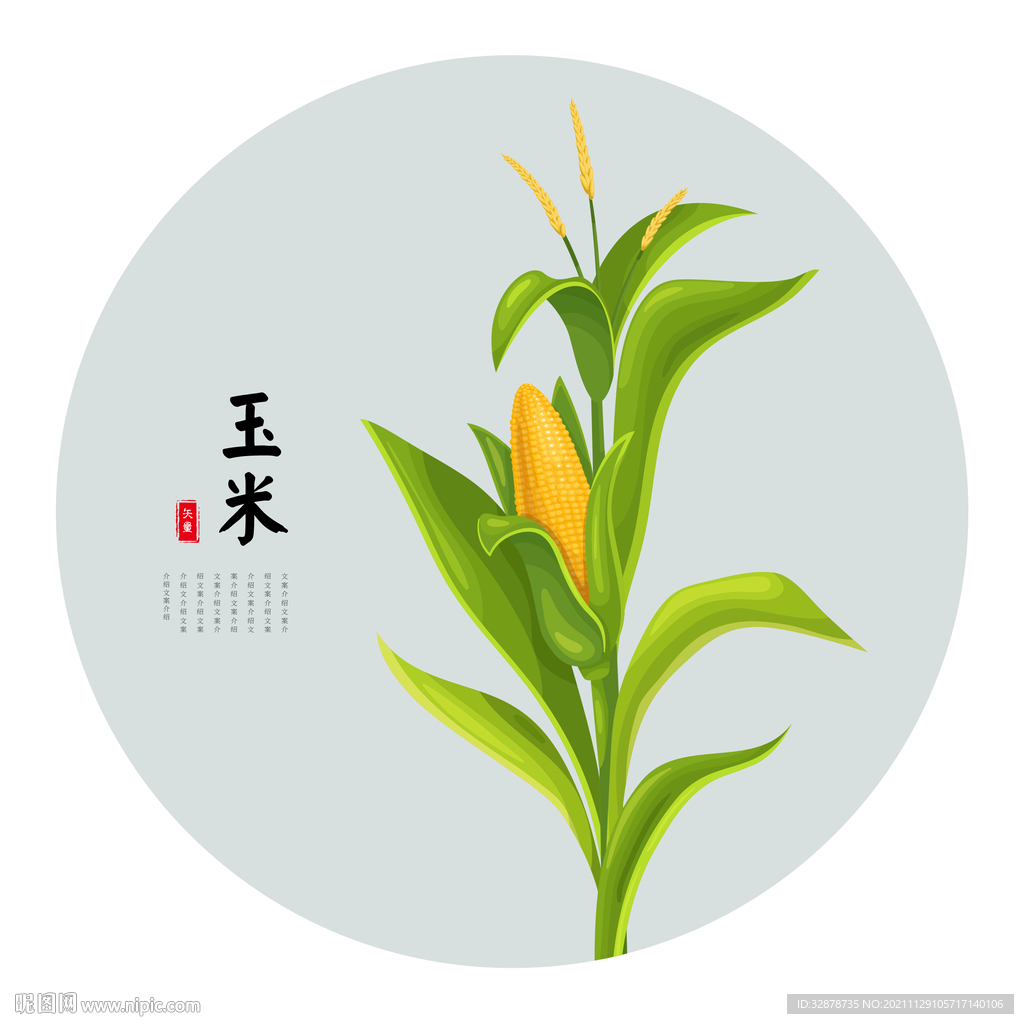 手绘玉米矢量素材设计图__蔬菜_生物世界_设计图库_昵图网nipic.com