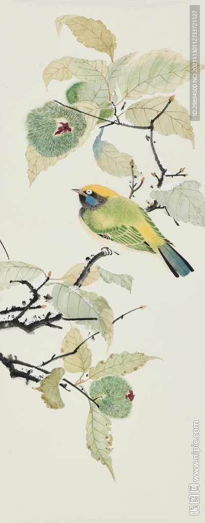 古典花鸟虫鱼水墨中式装饰画