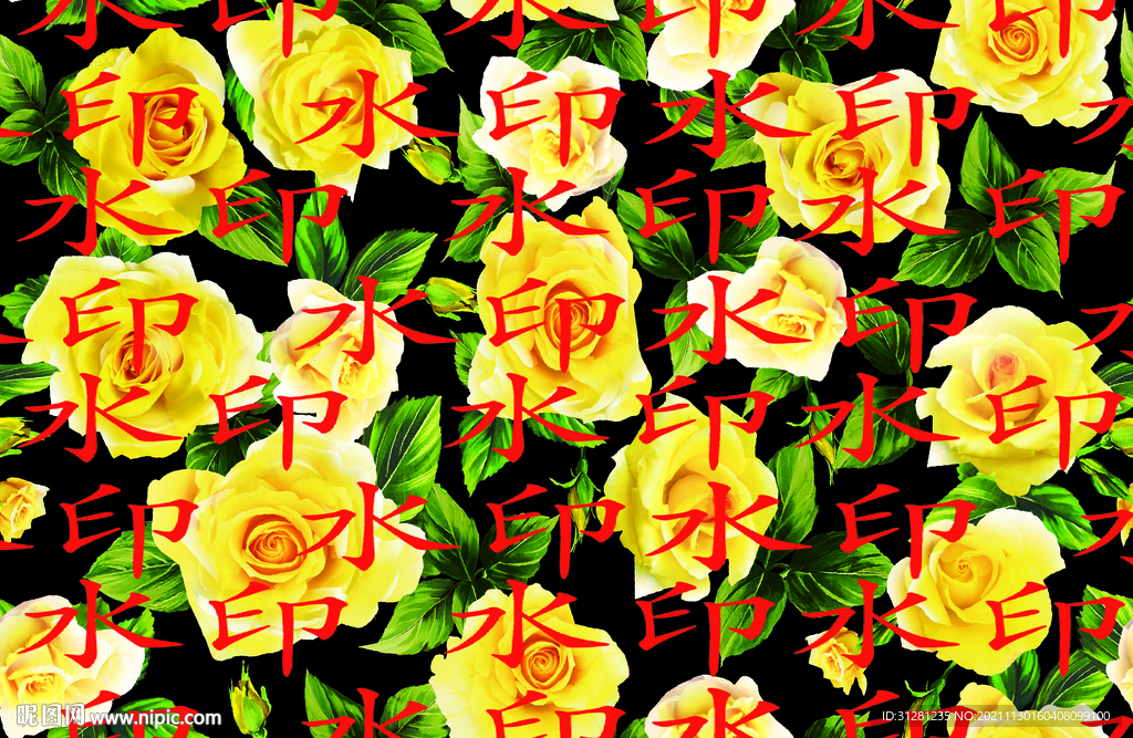玫瑰花