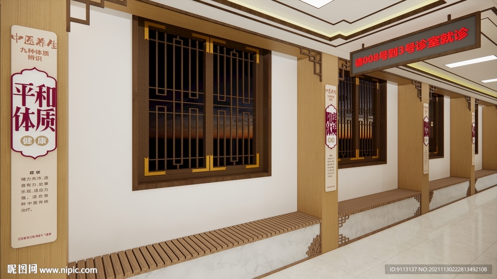 中医 九大 体质