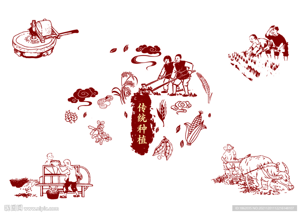 水稻插画素材