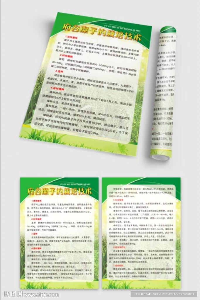 糜子