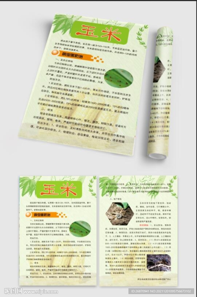 玉米宣传