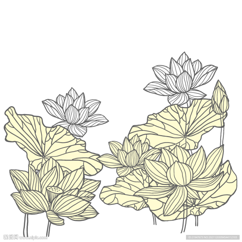 莲花矢量素材