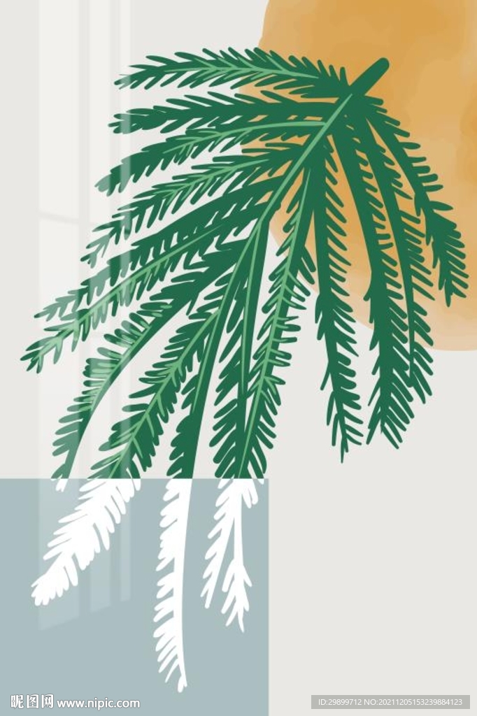 热带植物