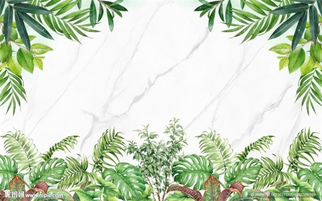 植物石纹