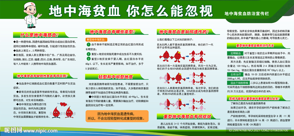 地中海贫血宣传栏