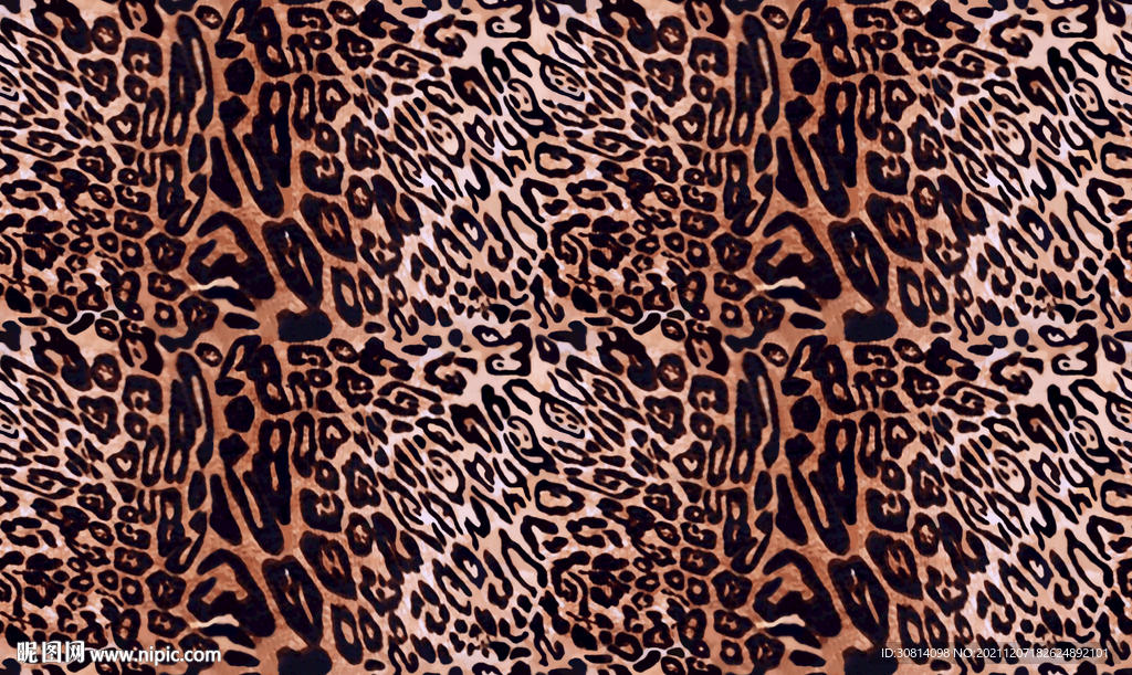 豹纹