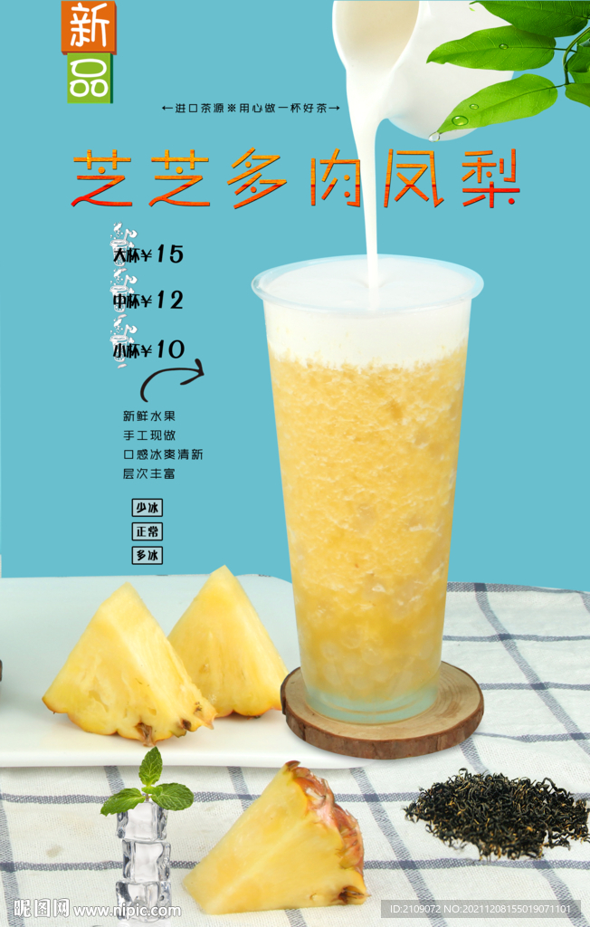 芝芝多肉凤梨