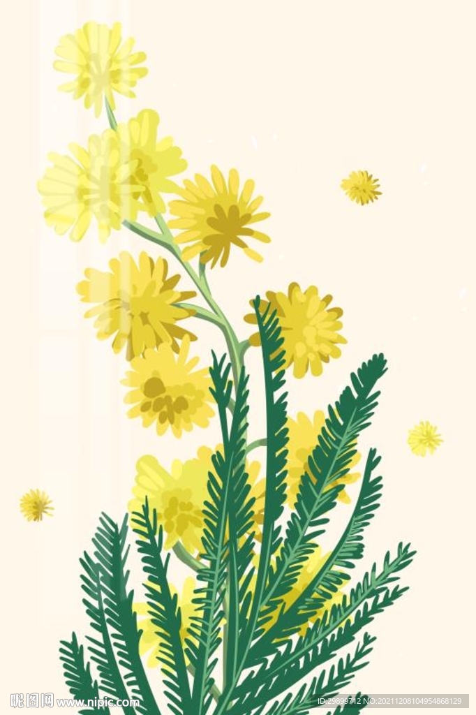 菊花装饰画