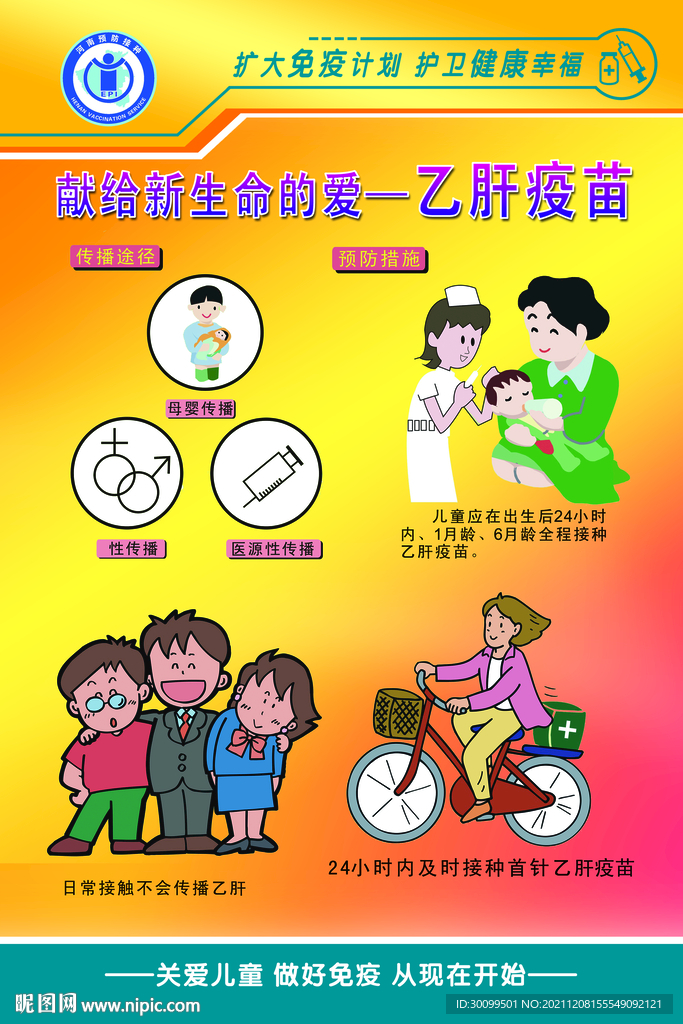乙肝