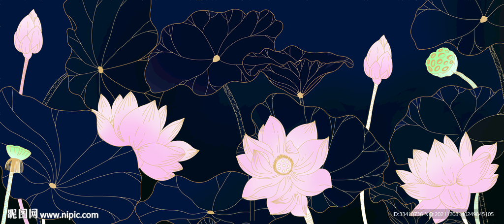 荷花