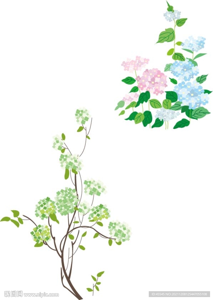 矢量花草