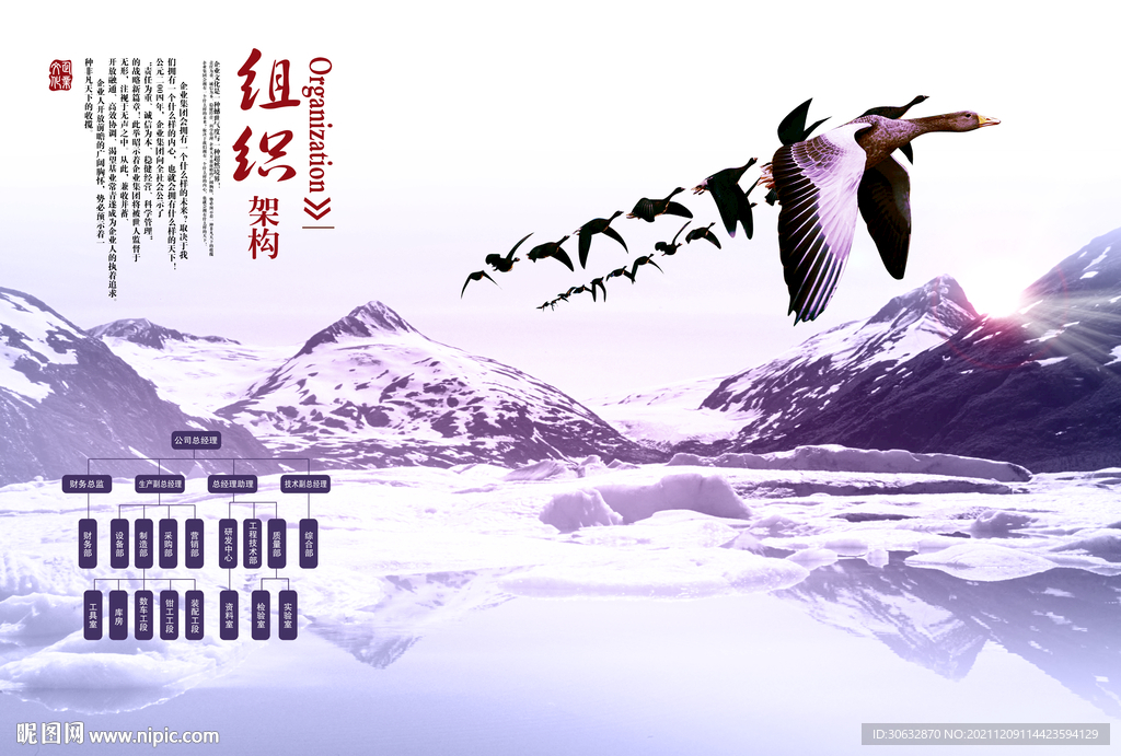 组织架构图