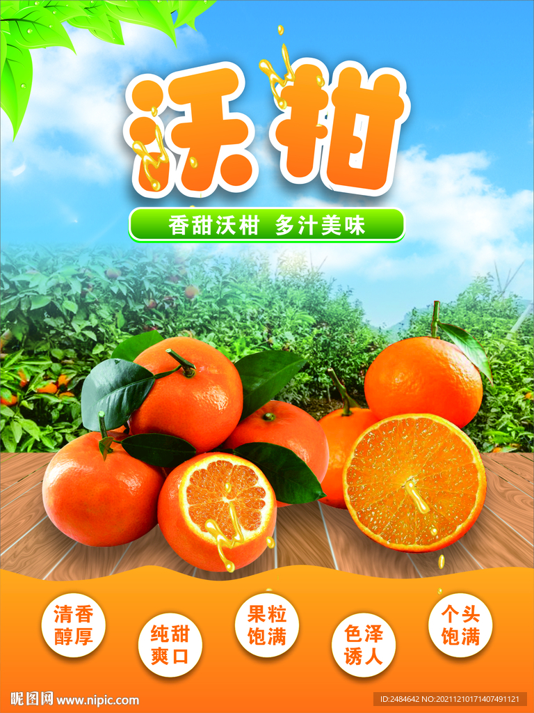 沃柑