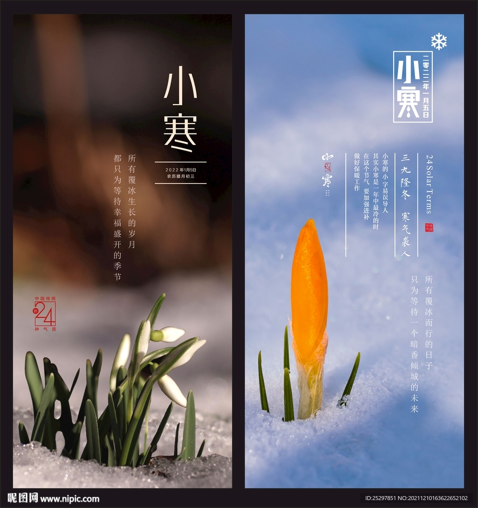 小寒海报