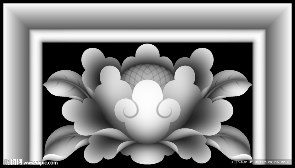 牡丹花