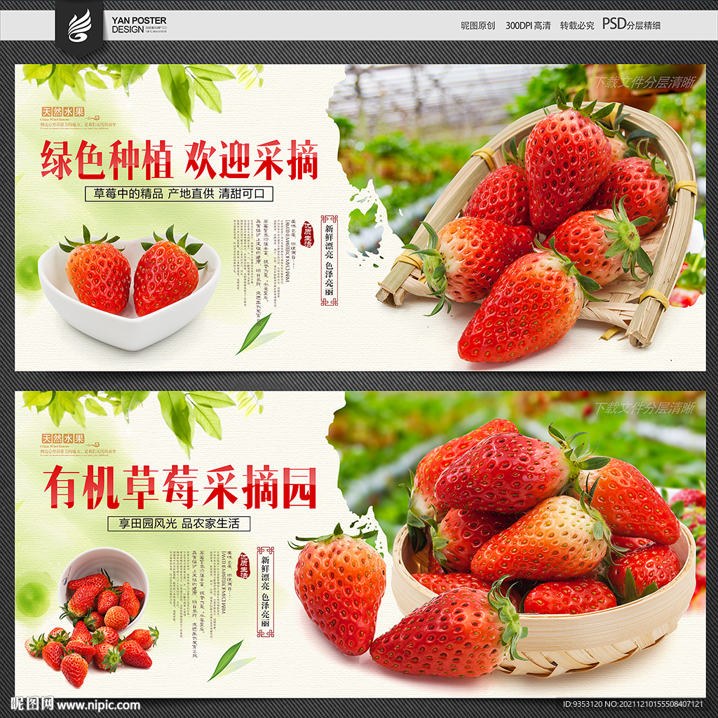 草莓采摘园宣传语广告图片