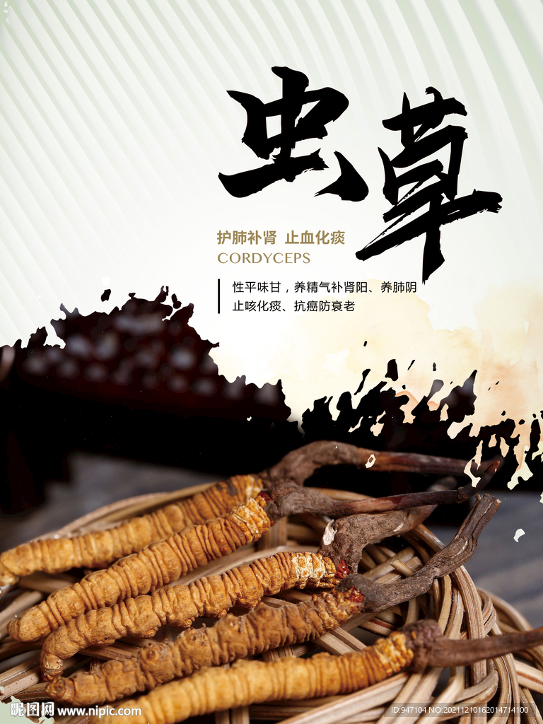 虫草海报