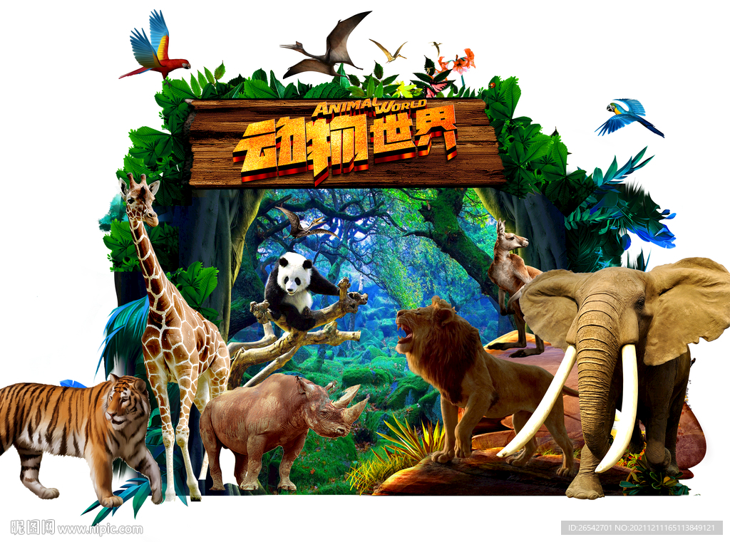 动物园