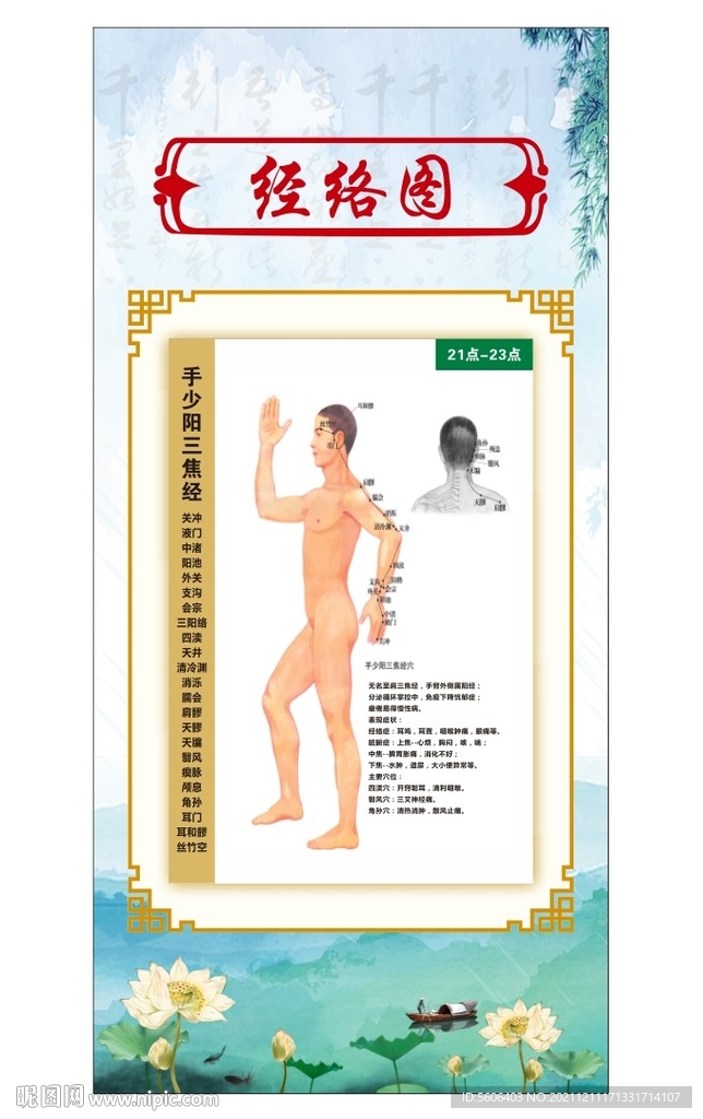 中医穴位图