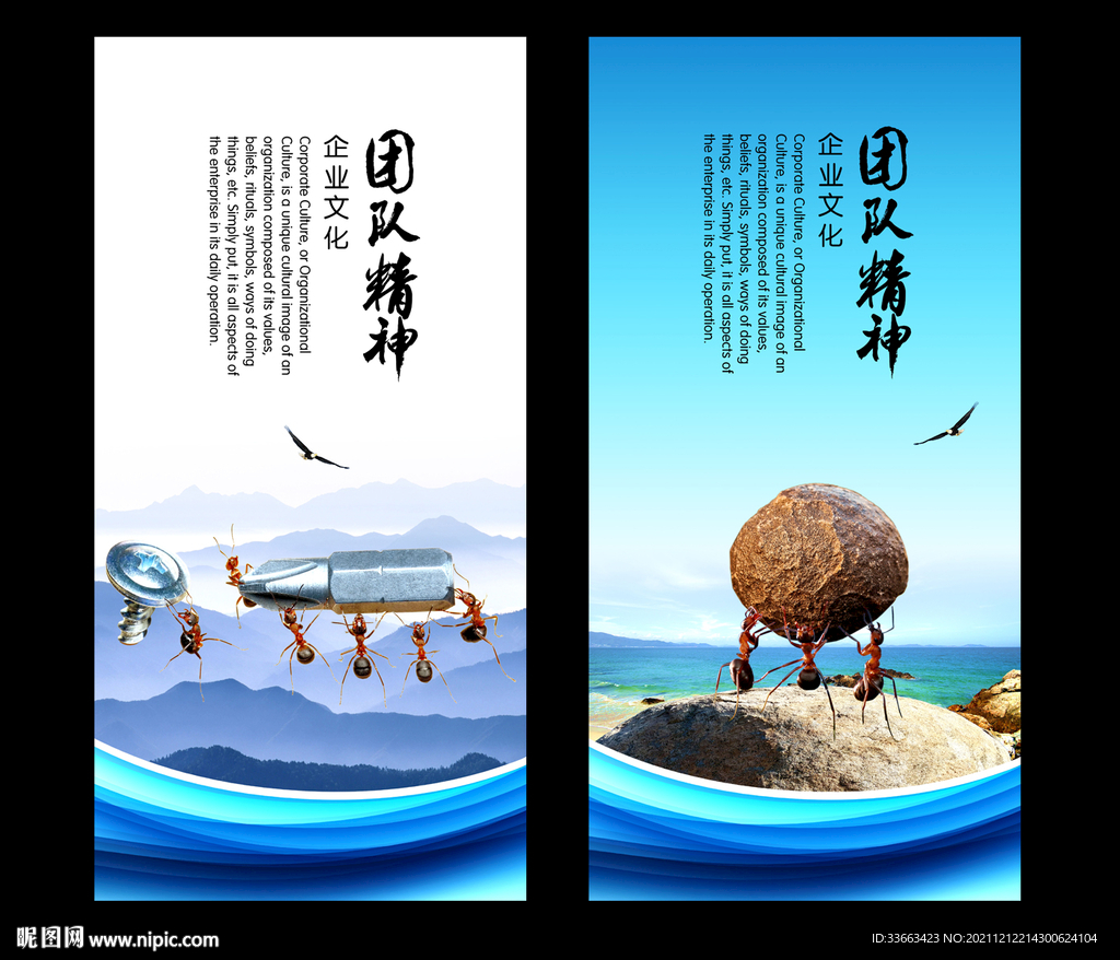 蚂蚁精神