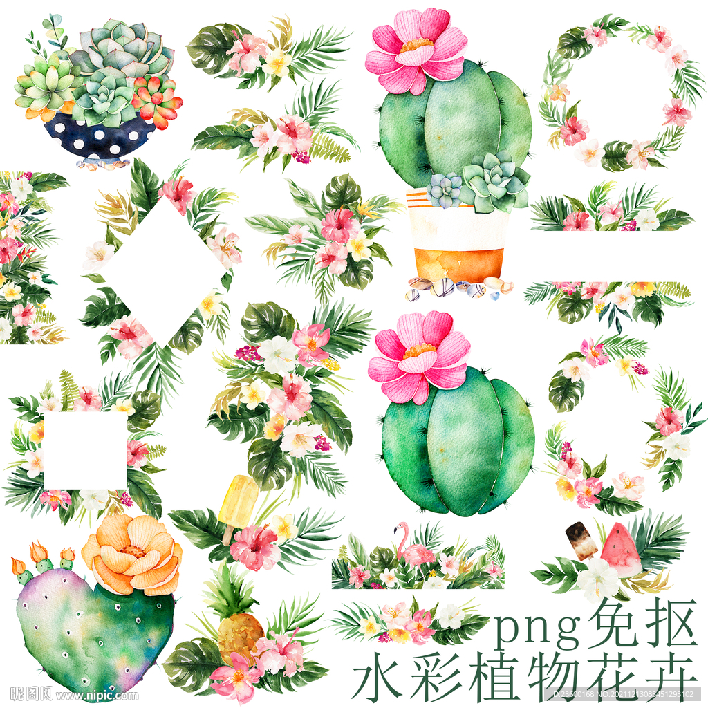 水彩植物花卉