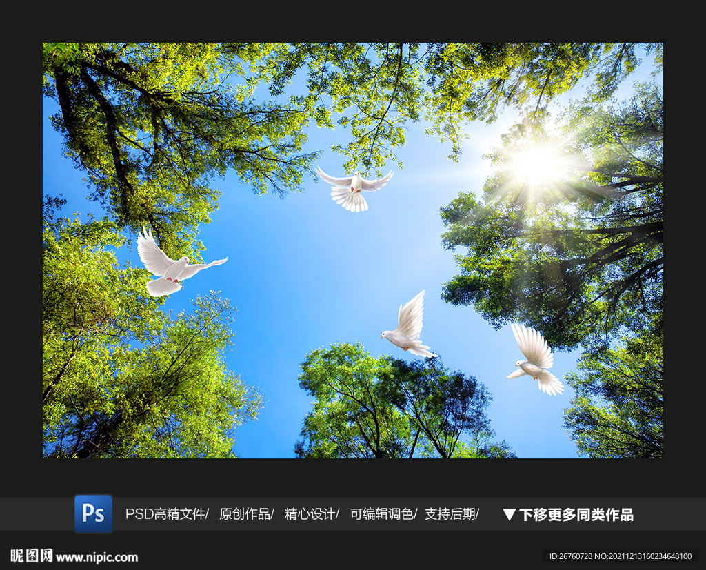 树叶天空天花软膜