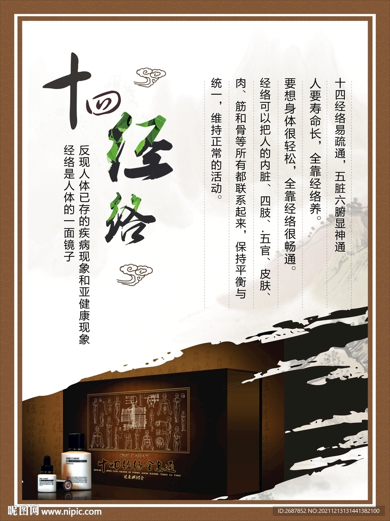 十四经络