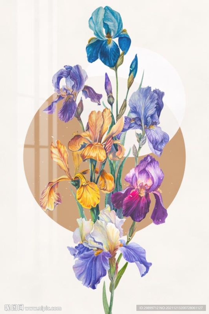 美人蕉装饰画