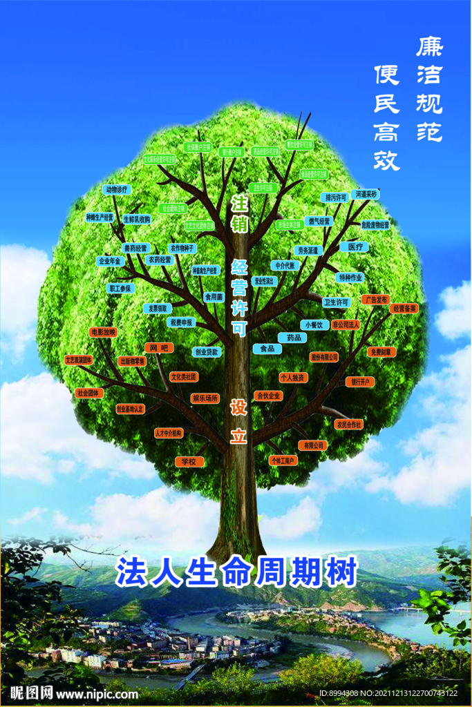 法人生命周期树