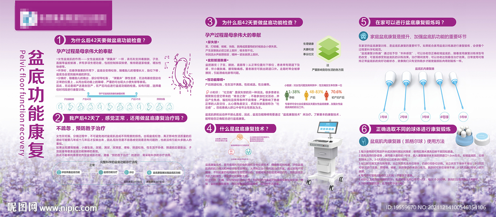 盆底功能康复产后康复展板