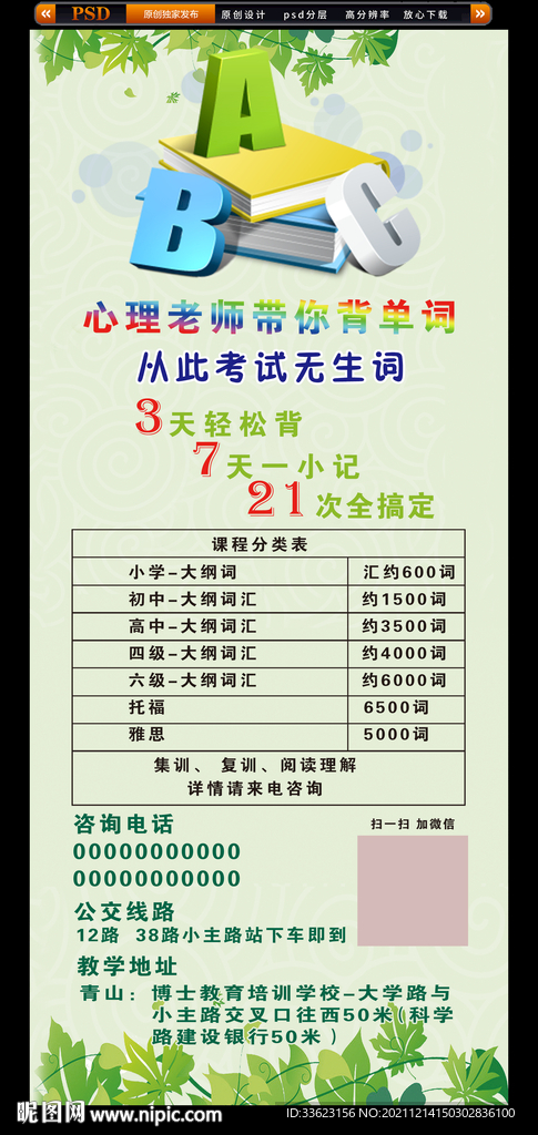 学单词背单词展架