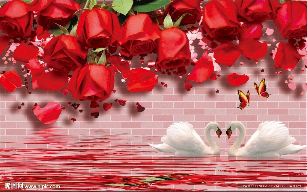 玫瑰花