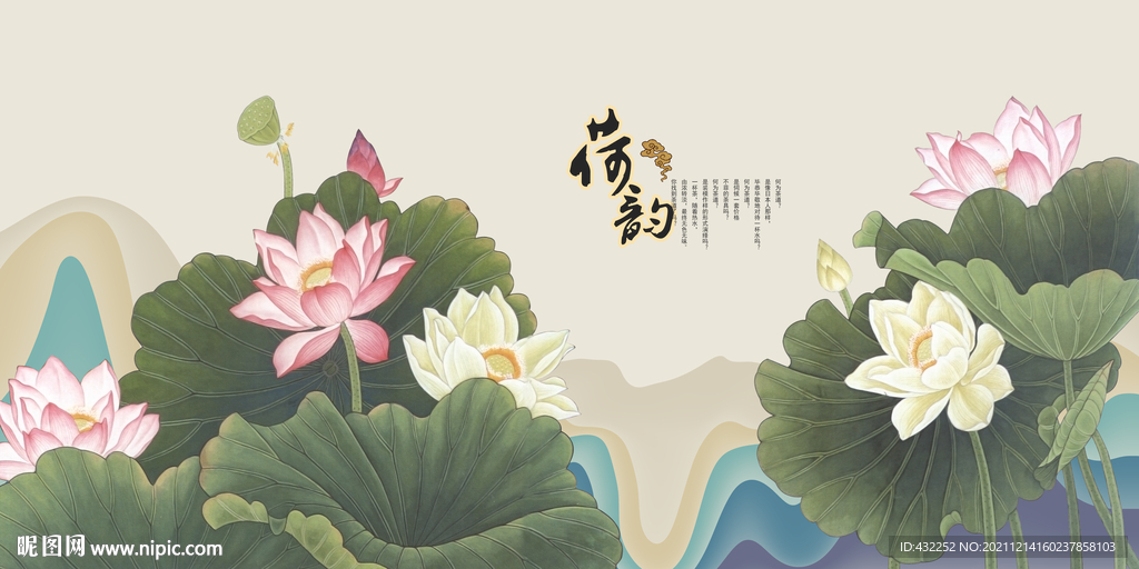荷花
