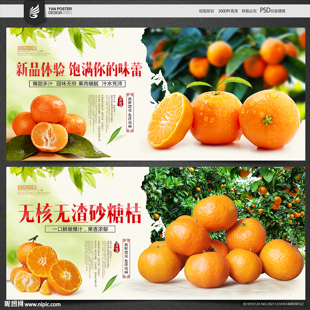 砂糖桔