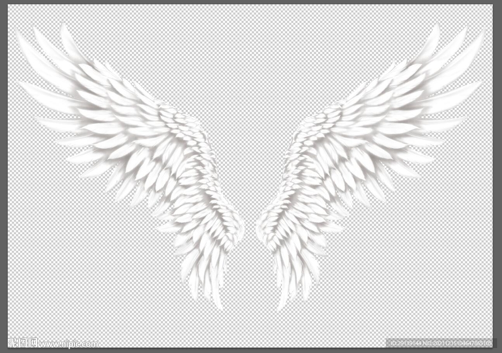 白色天使翅膀